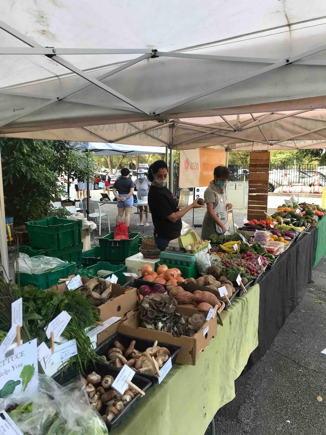Vizcaya Village Farmers Market photo 6