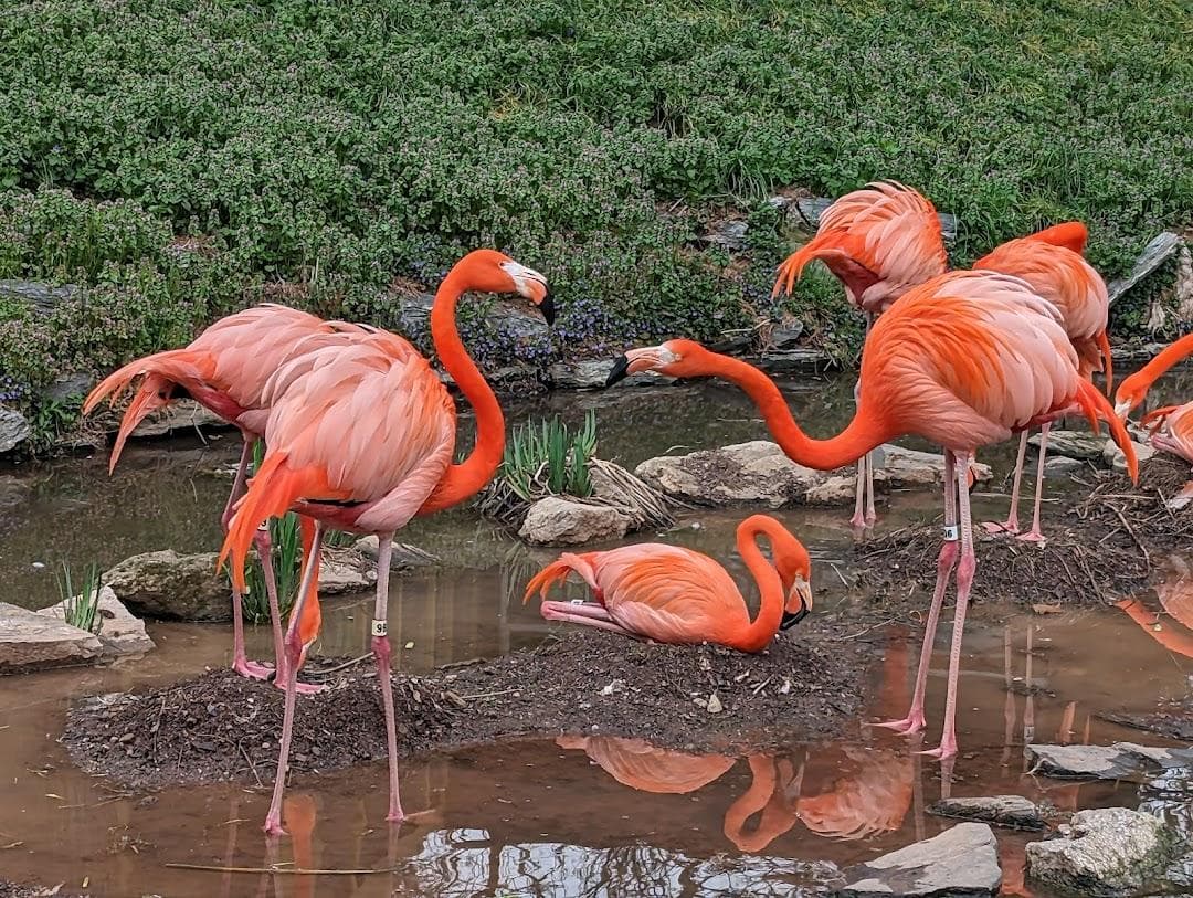 Philadelphia Zoo photo 5