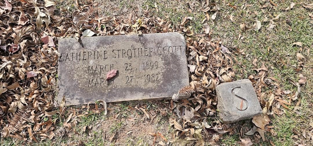 Historic Elmwood Pinewood Cemetery photo 4