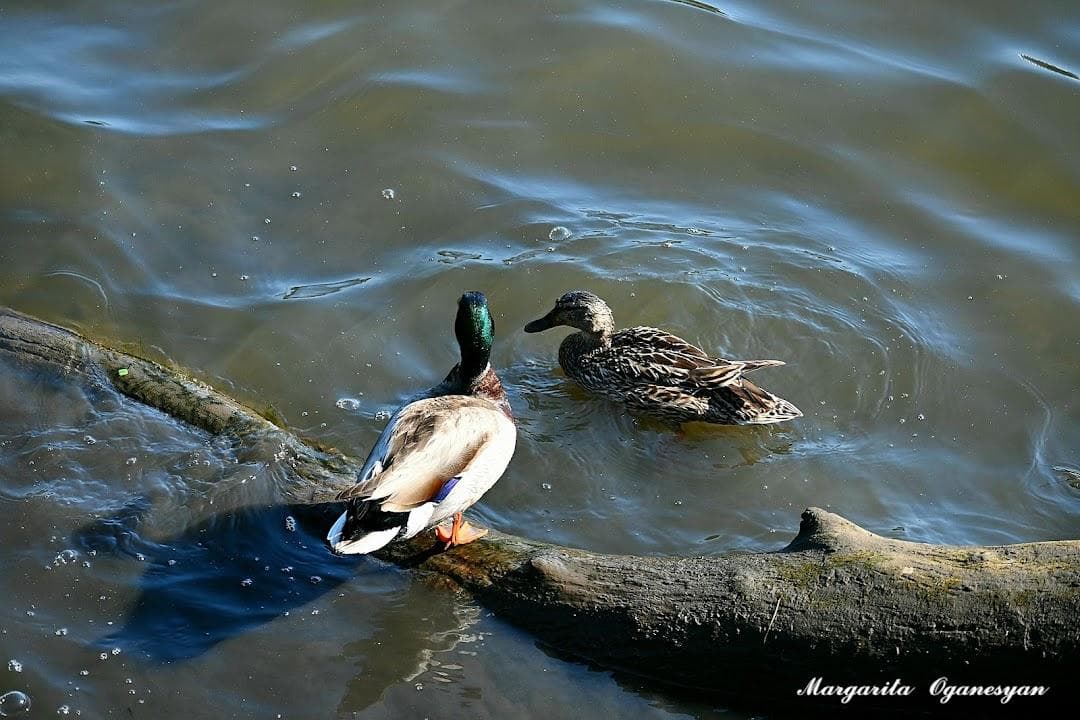 Newark Riverfront Park - Somme Street Entrance photo 1