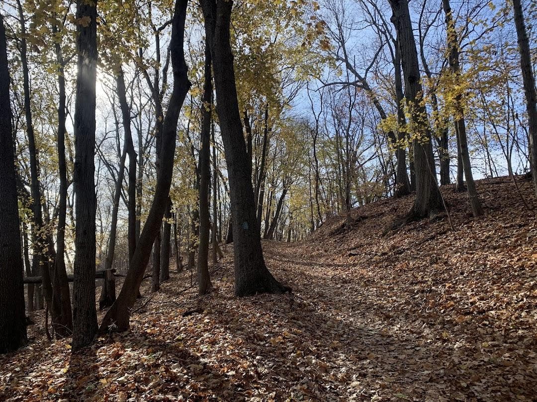 Edgewood Park photo 6