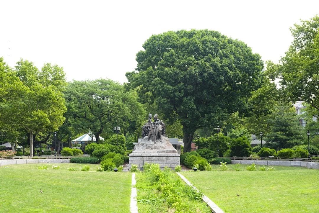 Military Park photo 4