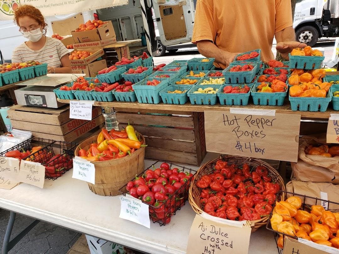 Union Square Greenmarket photo 3