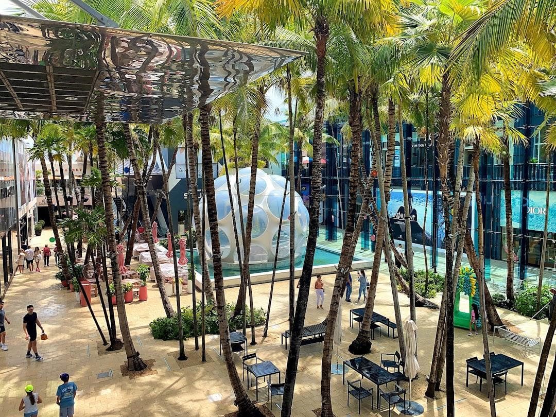 Jungle Plaza photo 6