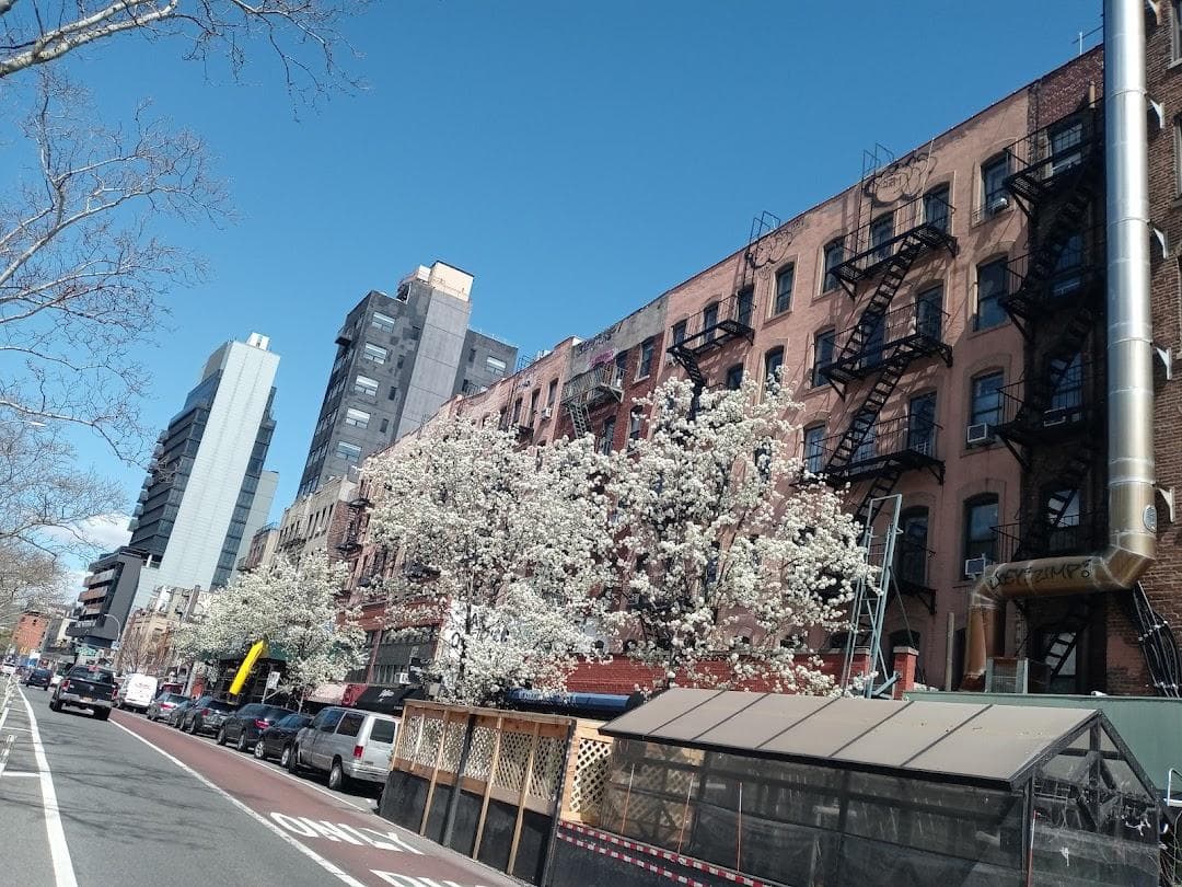 Lower East Side photo 1