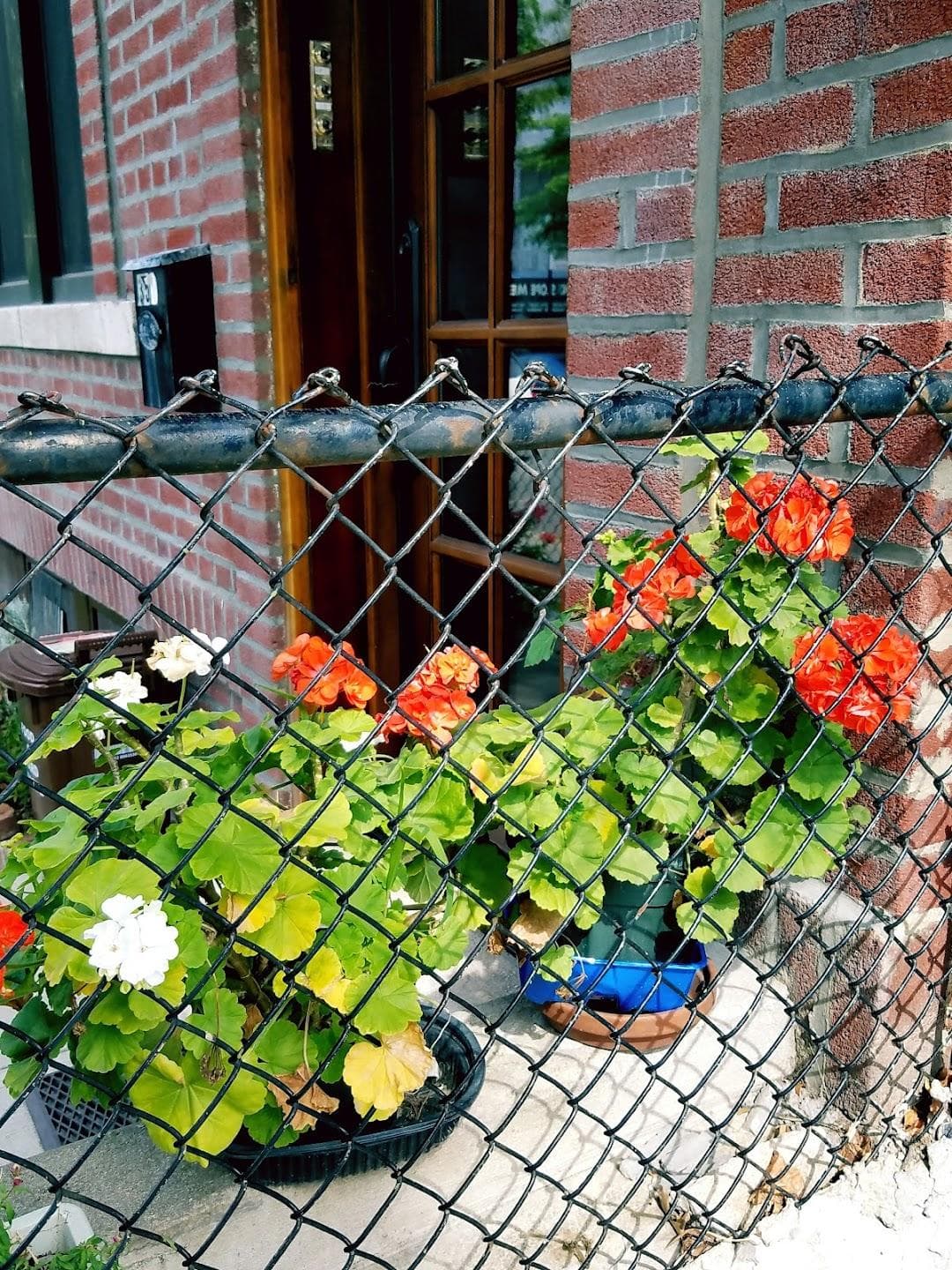 South Slope photo 4