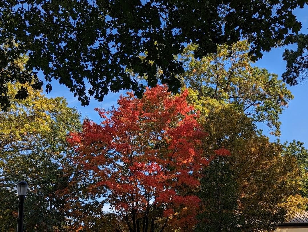 Dry Harbor Playground photo 2