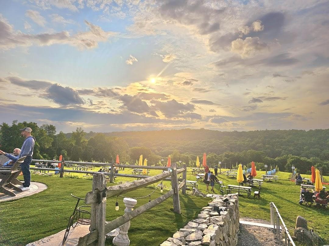 Aquila's Nest Vineyards photo 4