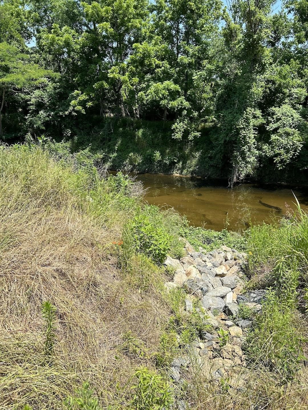 Little Sugar Creek Greenway photo 4
