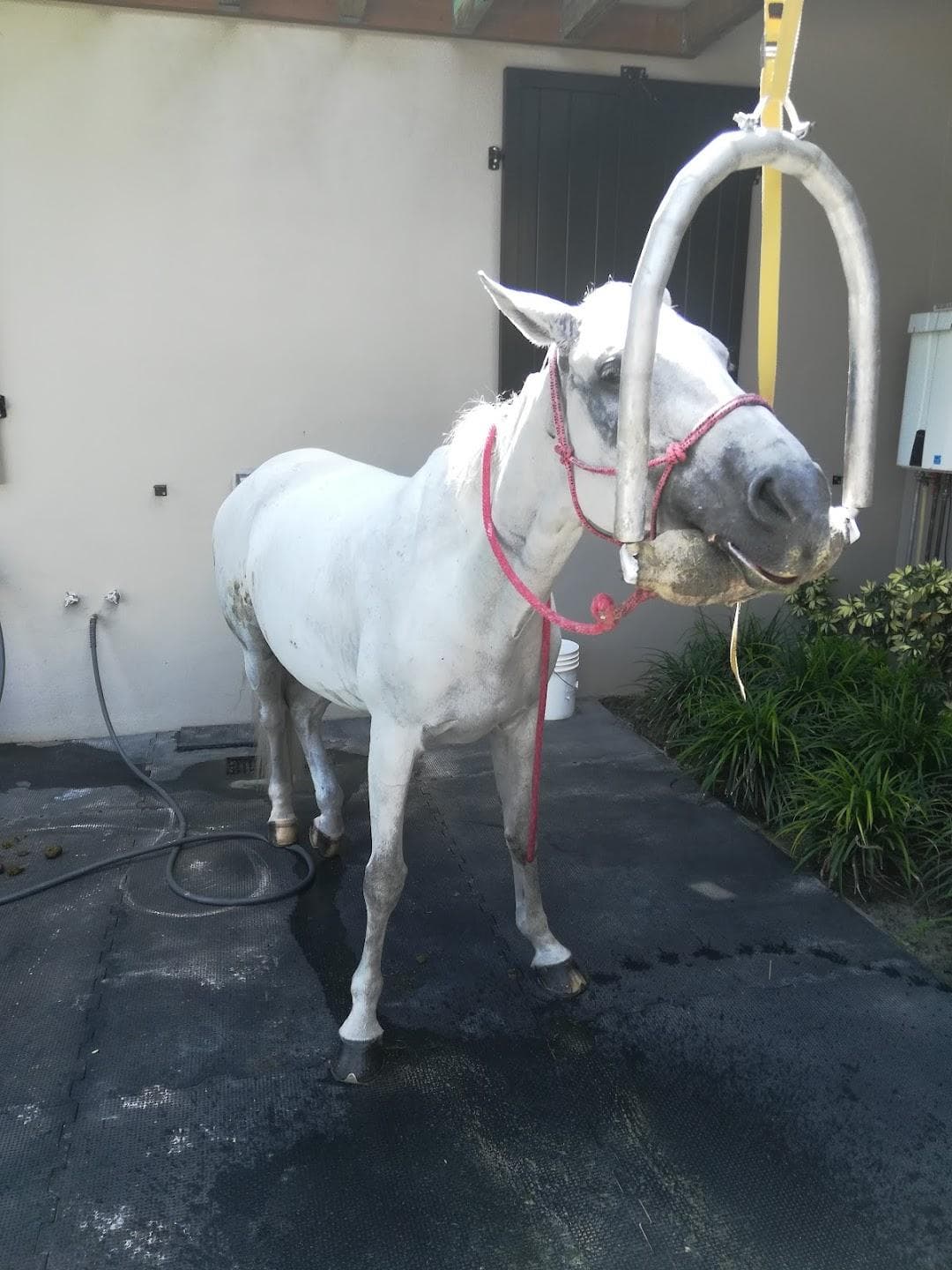 Wellington Equestrian Center photo 5