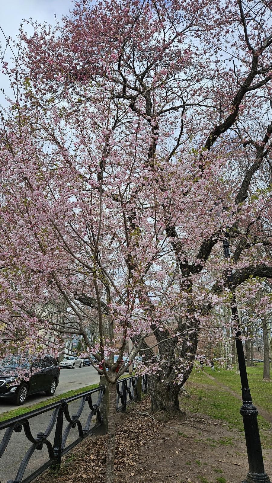 Wooster Square Park photo 3
