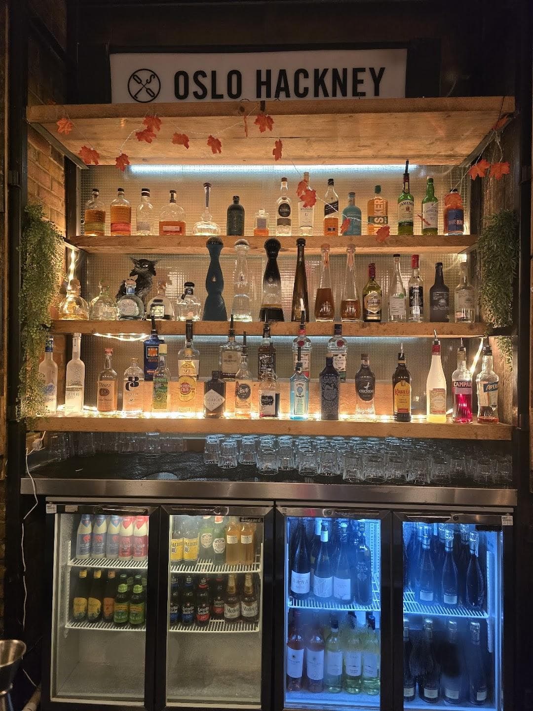 Oslo Hackney photo 1