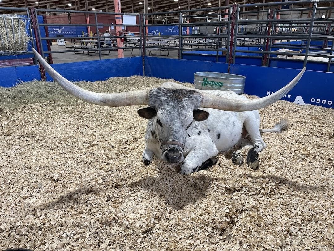 Rodeo Austin photo 2