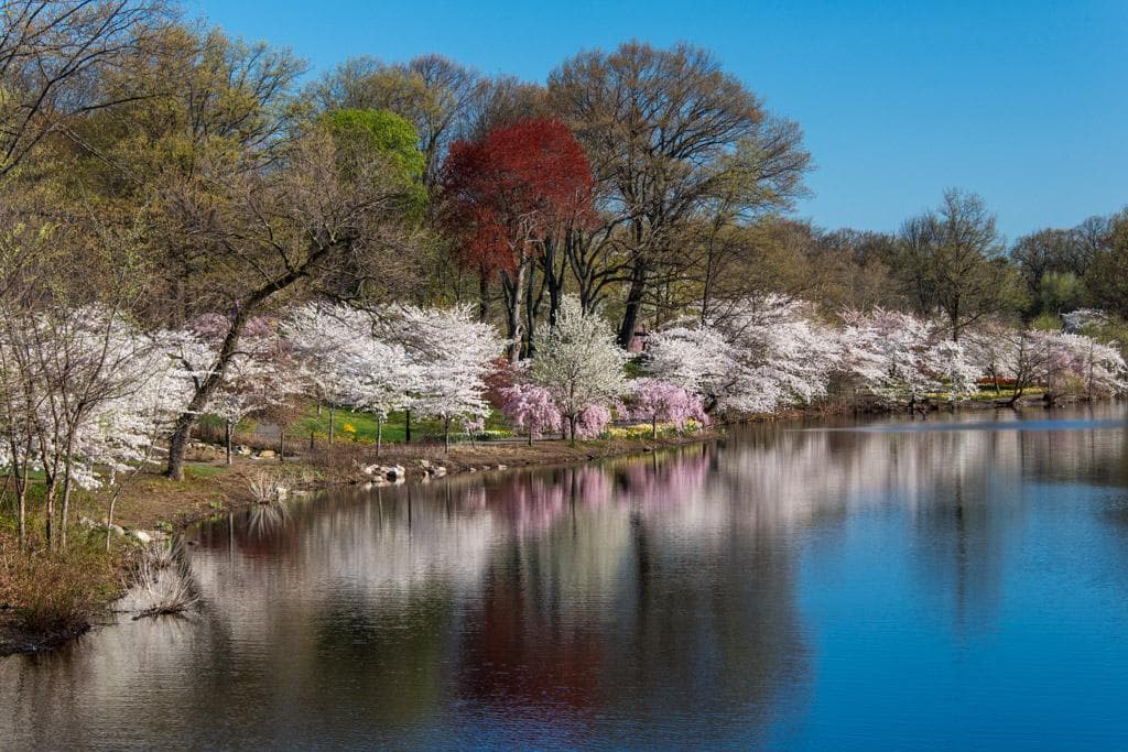 Branch Brook Park photo 3