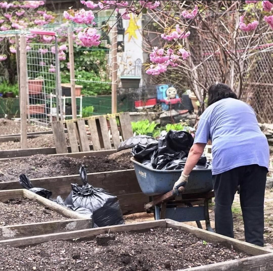 Maggie's Magic Garden photo 4