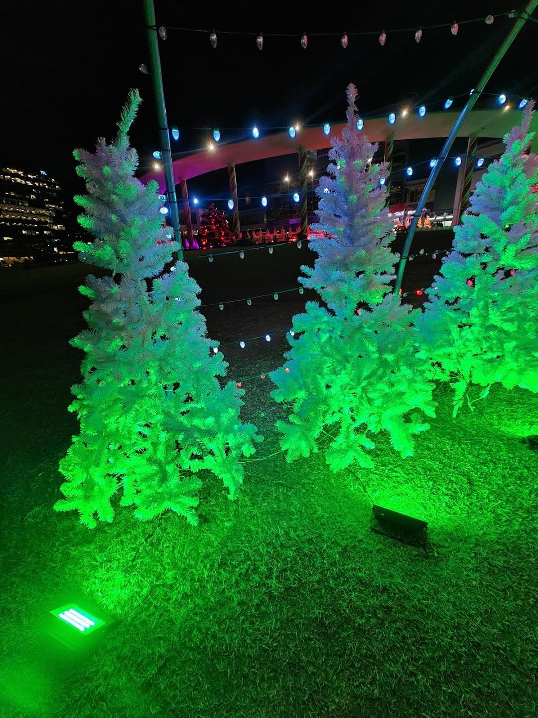 Vic Mathias Park at Auditorium Shores at Town Lake Metropolitan Park, Austin, TX photo 3