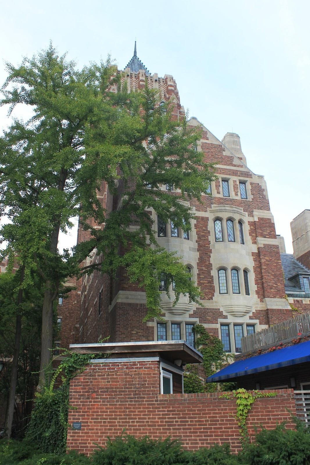 Cross Campus photo 2