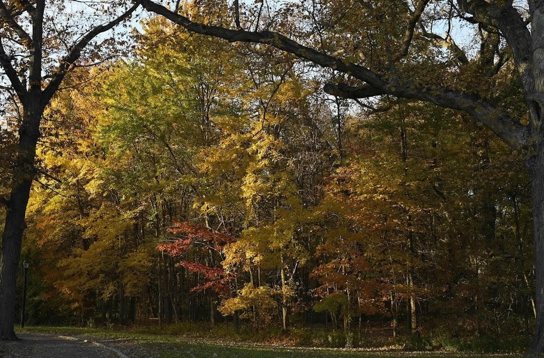 Pelham Bay Nature Center photo 6