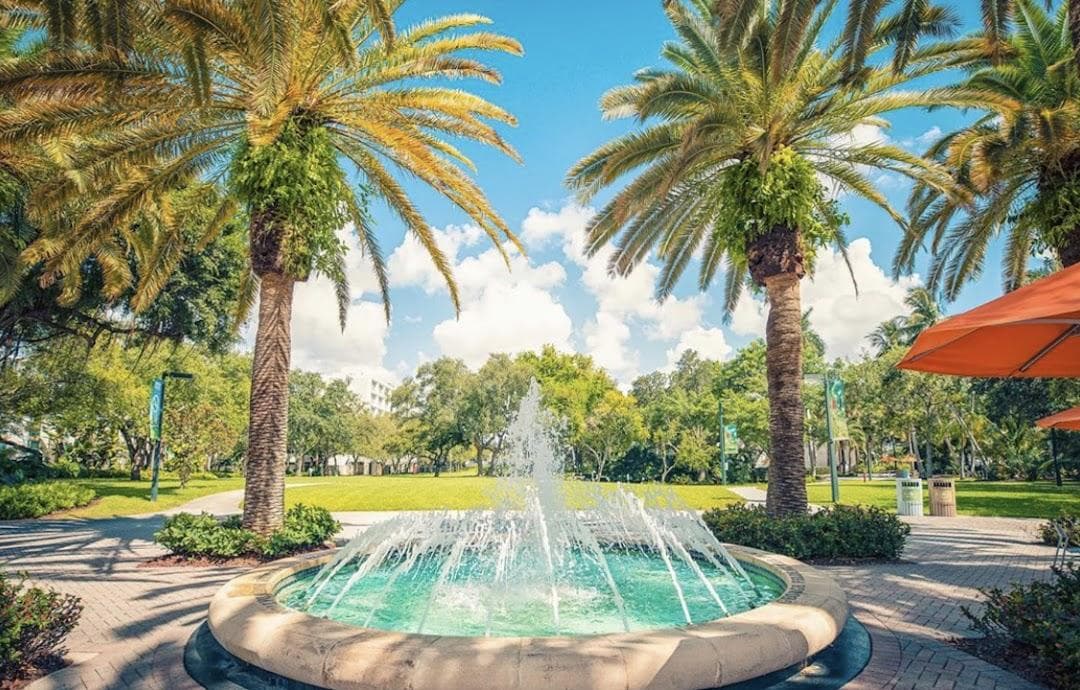 University of Miami photo 1