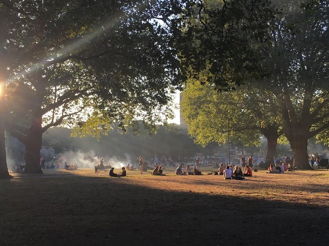 London Fields Lido photo 5