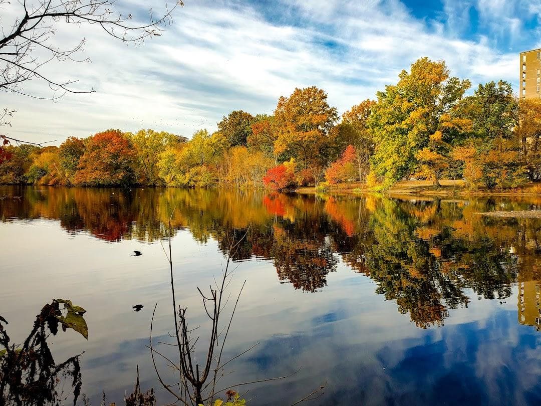 Olmsted Park photo 2