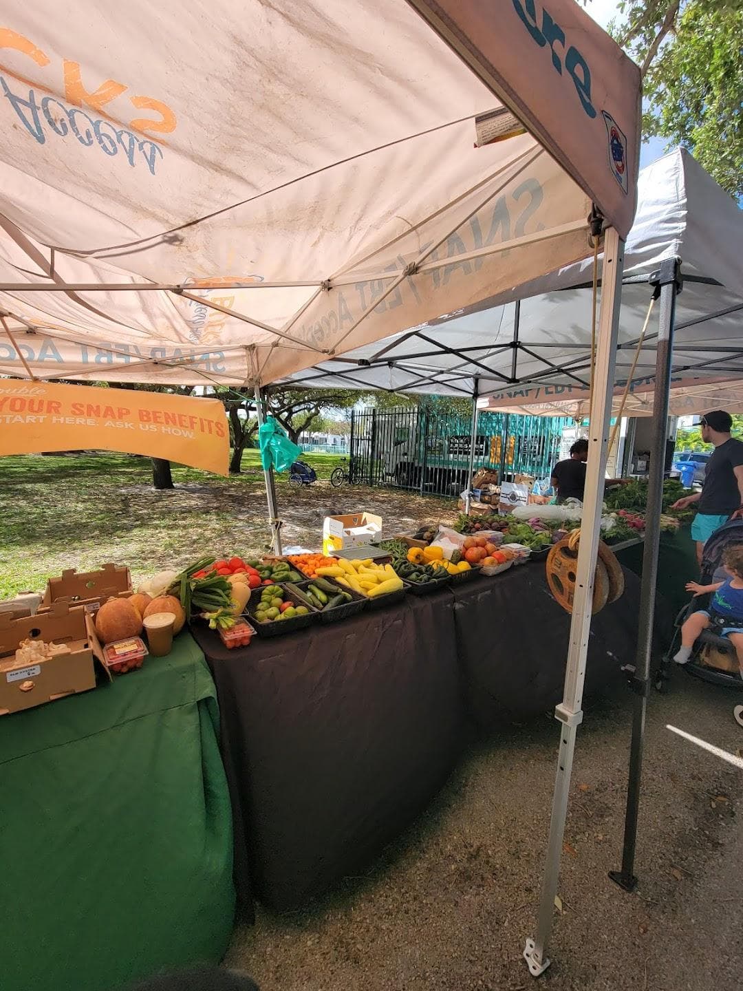 Legion Park Farmers Market photo 4