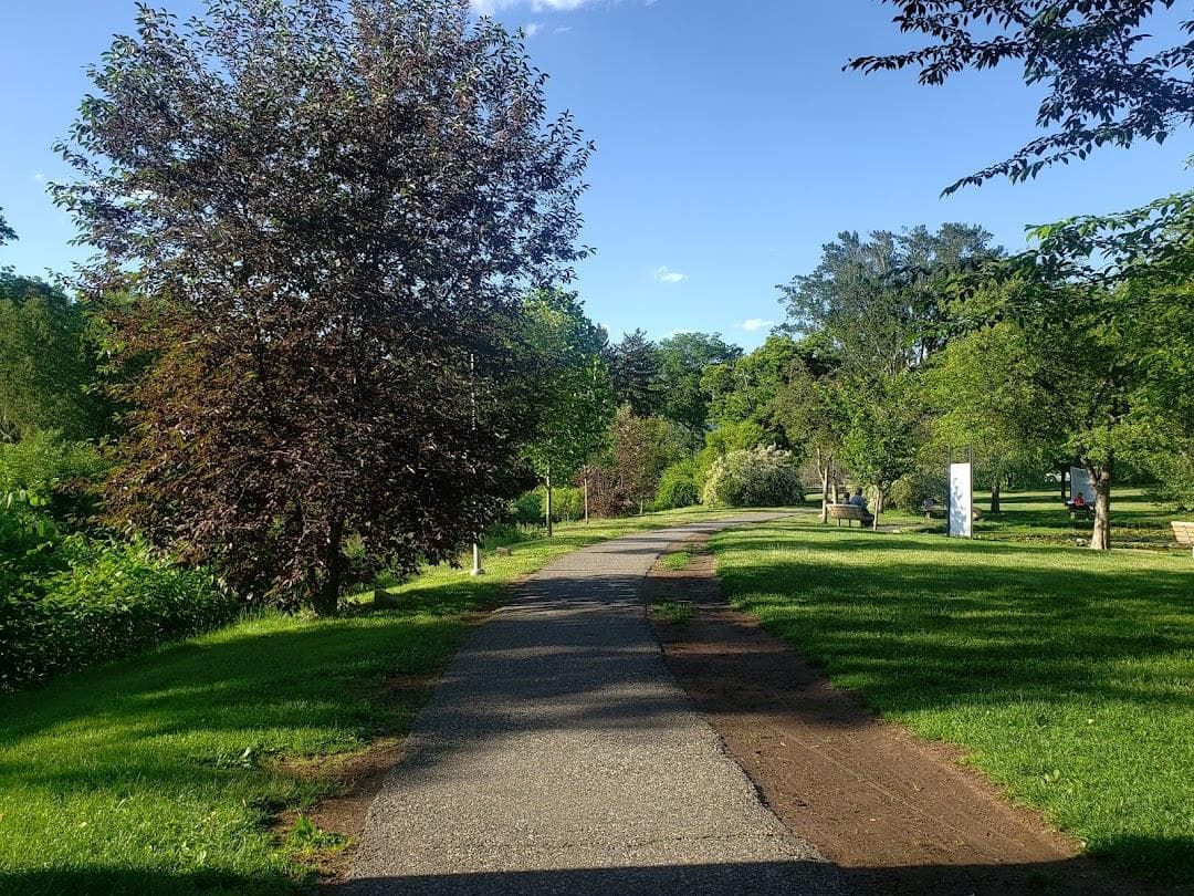 Memorial Park photo 3
