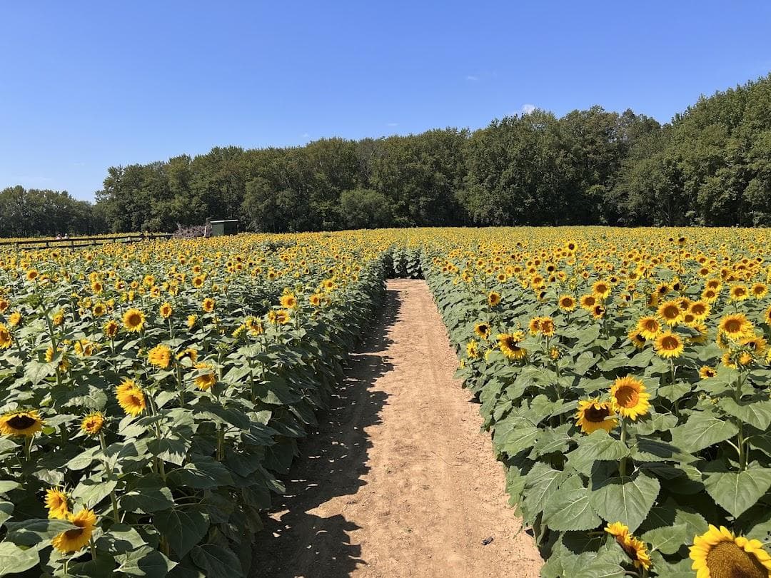 Arrowhead Farmstead photo 4