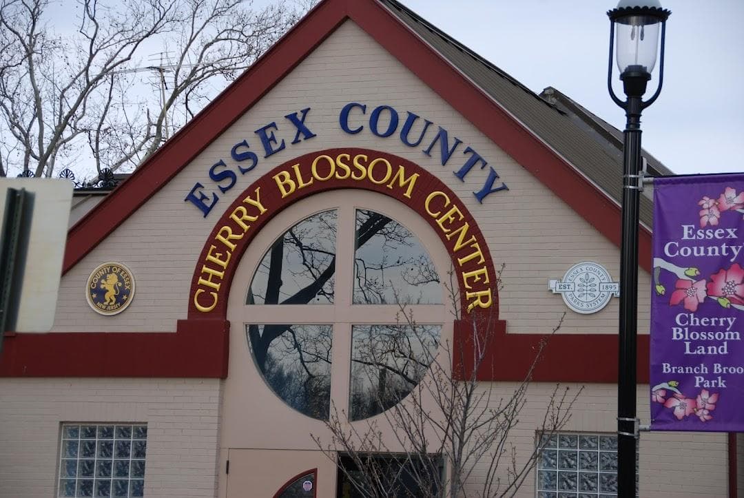 Cherry Blossom Welcome Center photo 5