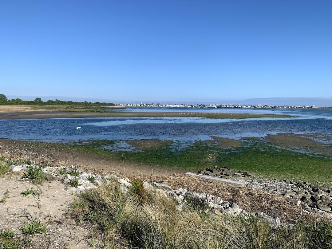 Jamaica Bay Wildlife Refuge photo 4