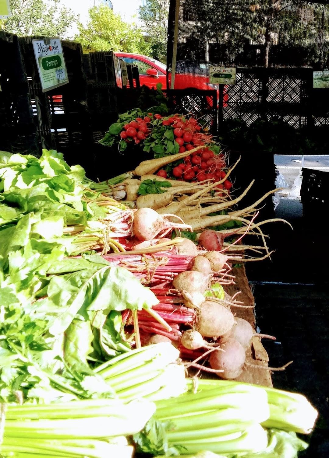 Bronx Borough Hall Greenmarket photo 6