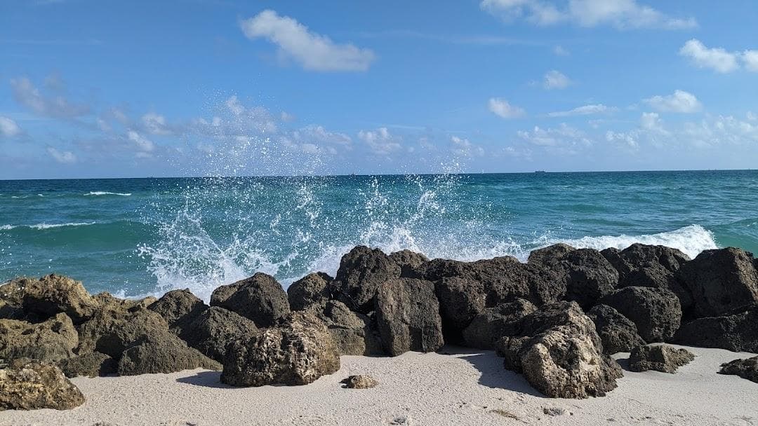 Miami Beach Regional Library photo 3