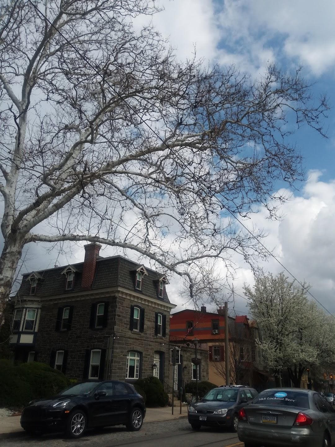 Chestnut Hill photo 3