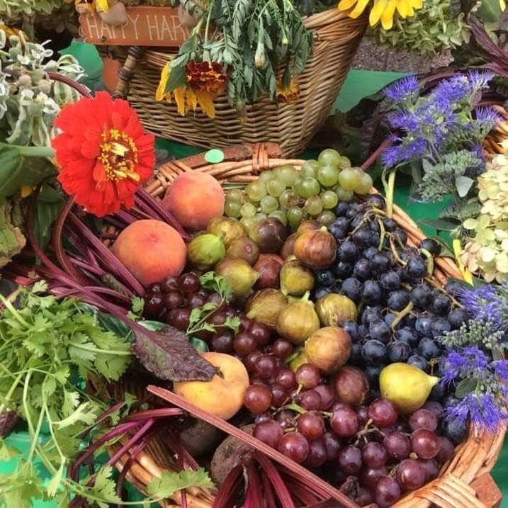 Maggie's Magic Garden photo 6