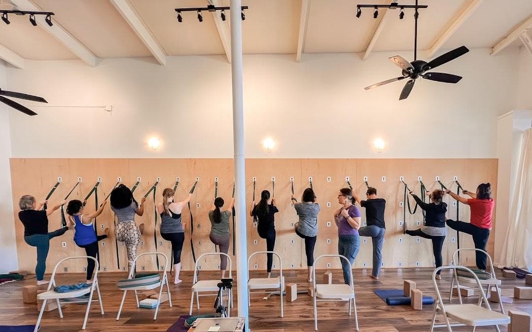 Austin Yoga Tree photo 4