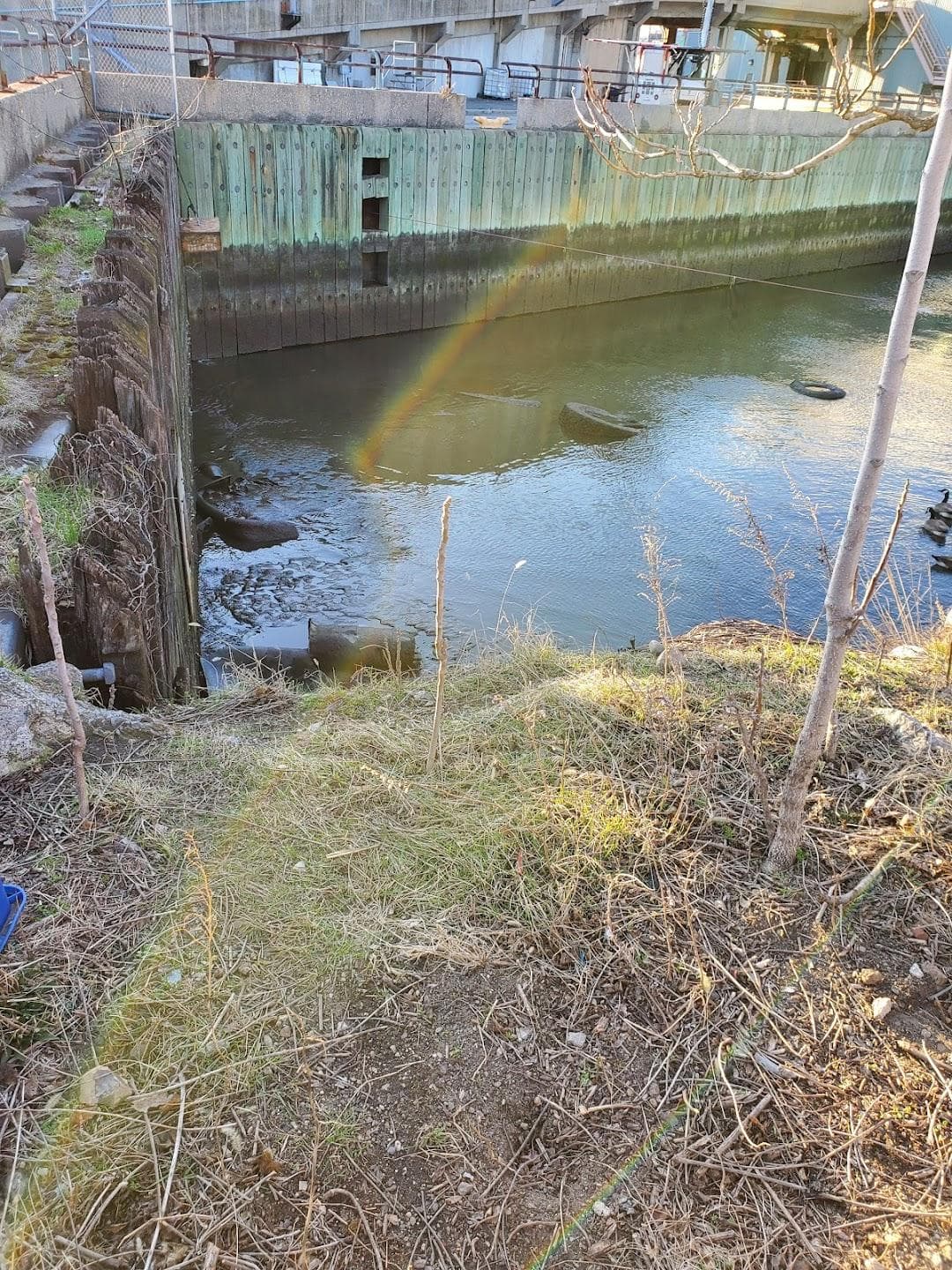 Kingsland Wildflowers Green Roof & Community Engagement Center photo 1