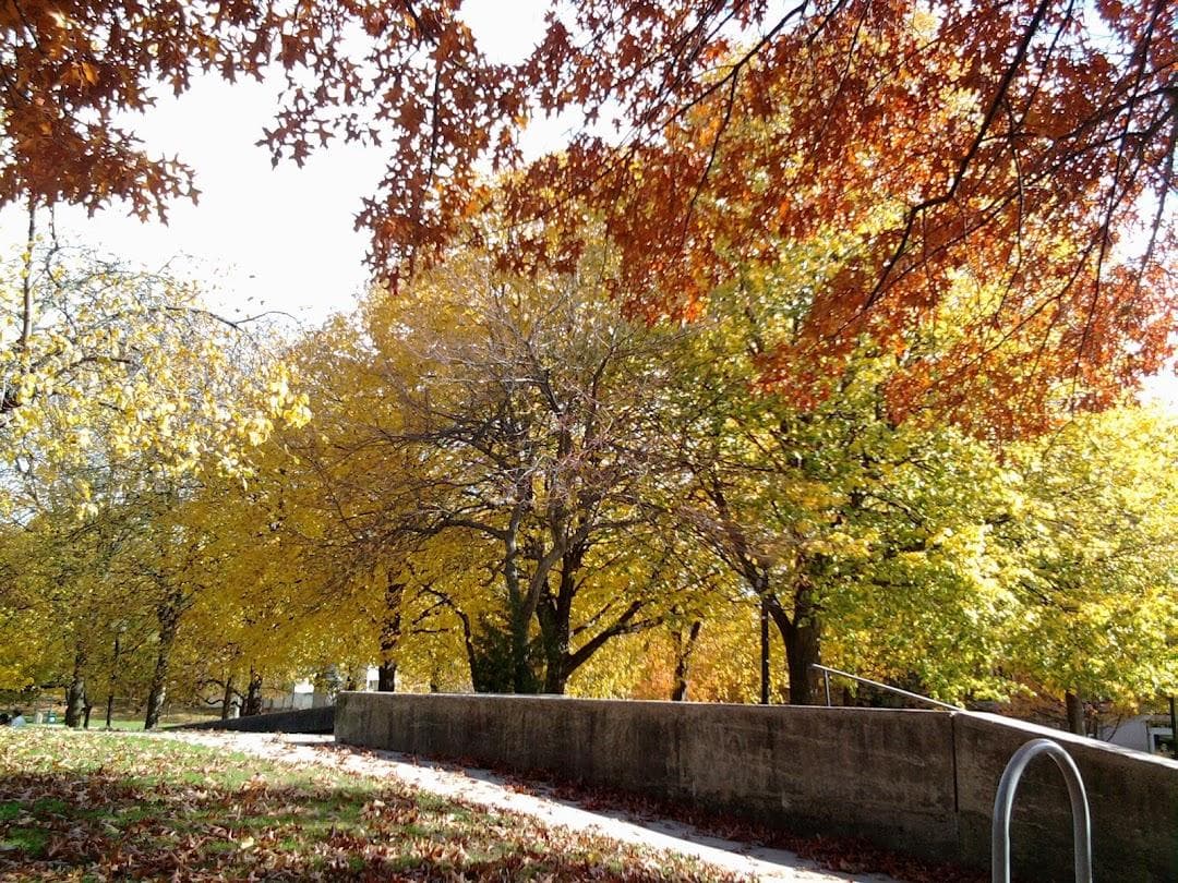 Saltonstall Park photo 2