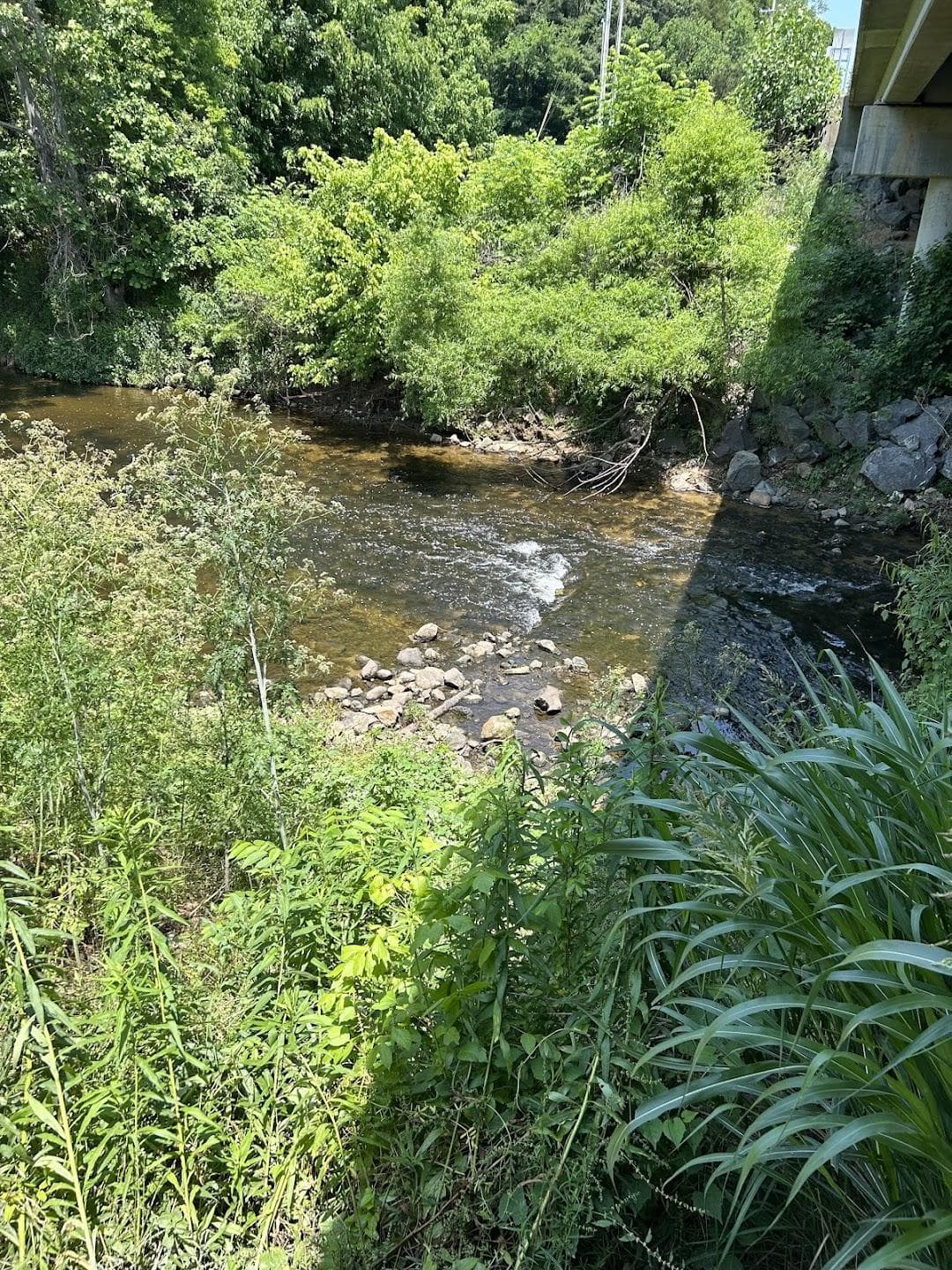 Little Sugar Creek Greenway photo 2