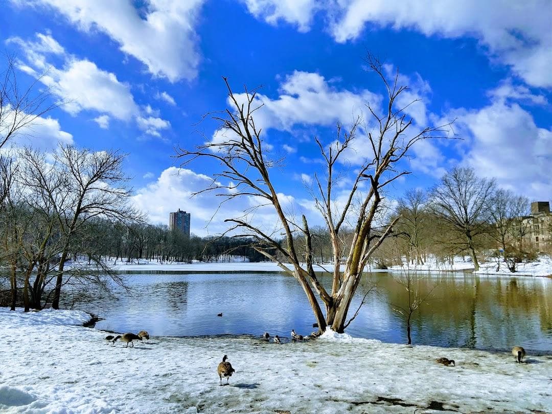 Olmsted Park photo 1