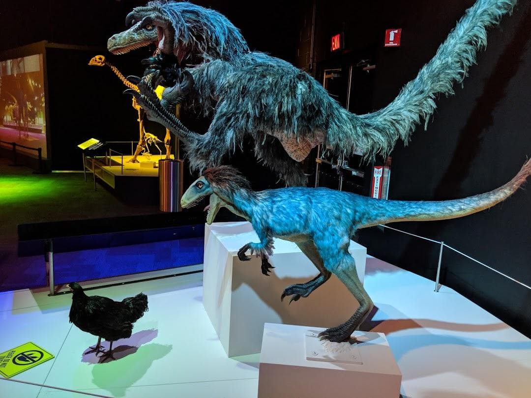 Discovery Place Science photo 5