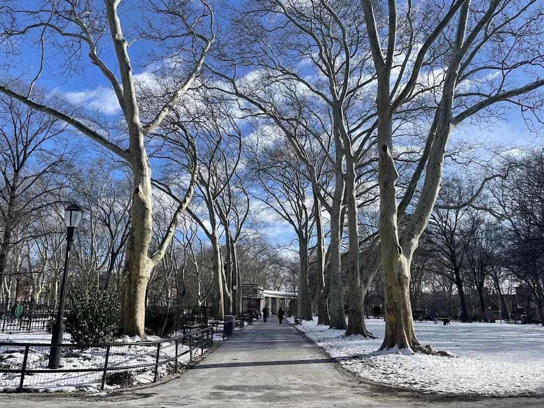 Msgr. McGolrick Park photo 1