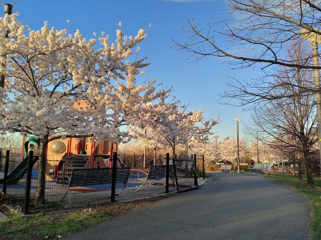 Essex County Riverfront Park photo 6