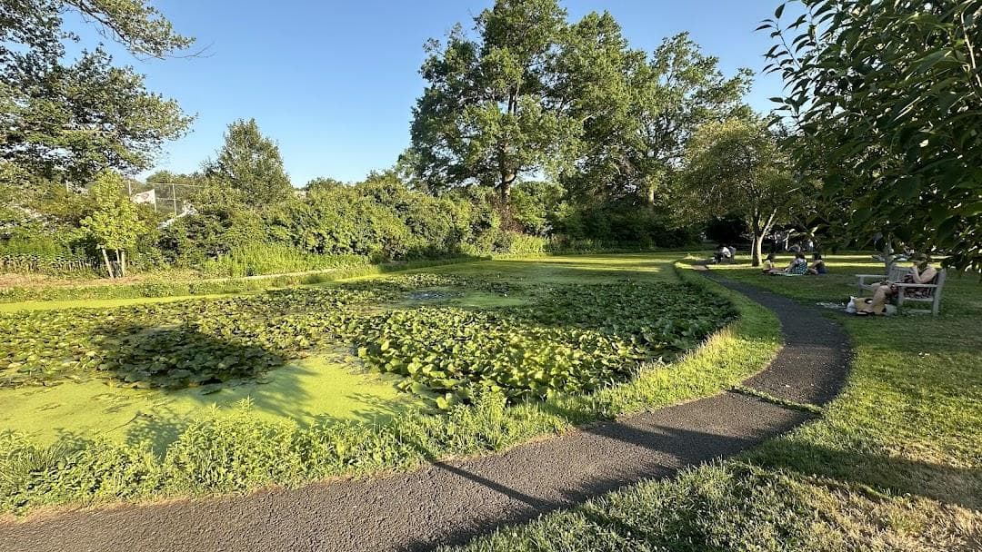 Memorial Park photo 2
