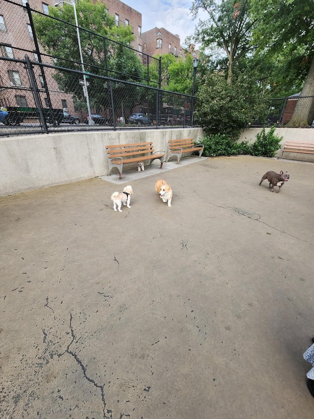 Torsney/Lou Lodati Playground photo 1