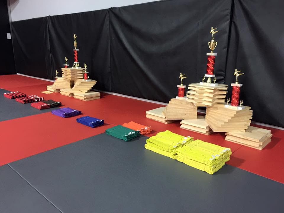 Pure Mixed Martial Arts photo 2