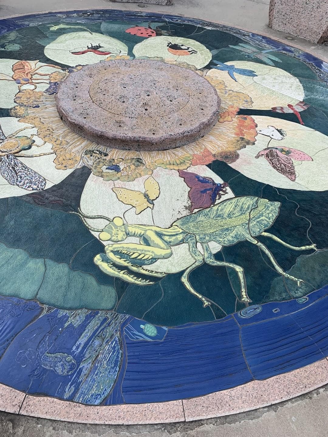 Asian American Resource Center photo 3