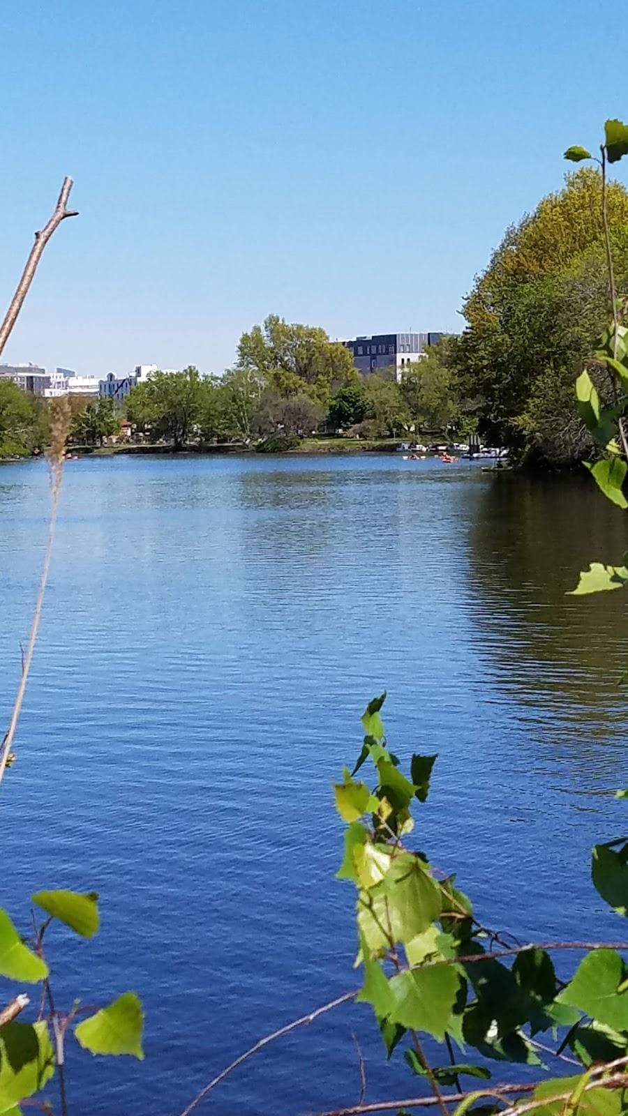Cumnock Synthetic Fields 1 & 2 photo 6