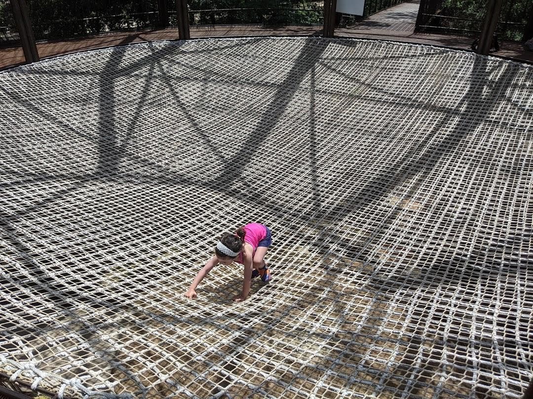 Kingsbury Commons photo 1