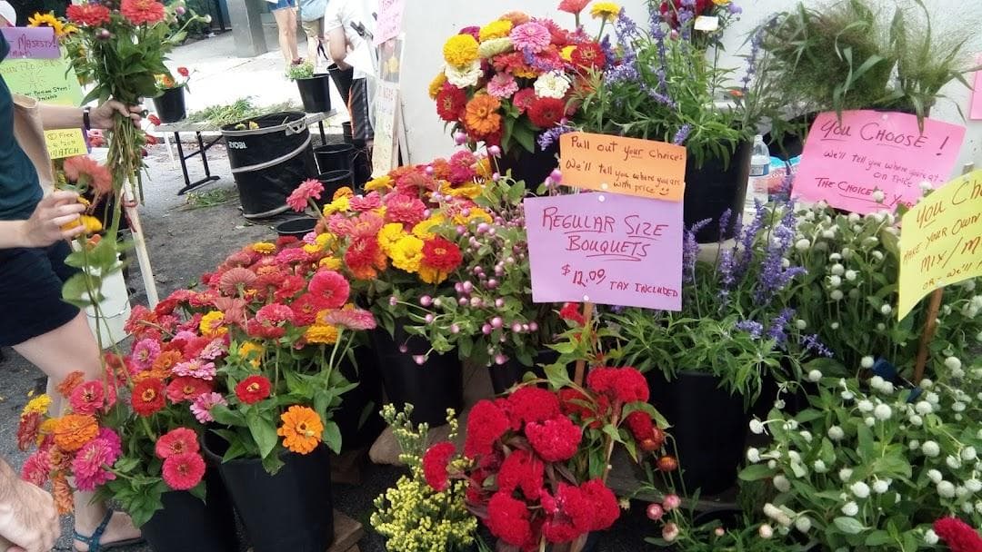 Clark Park Farmers' Market photo 2