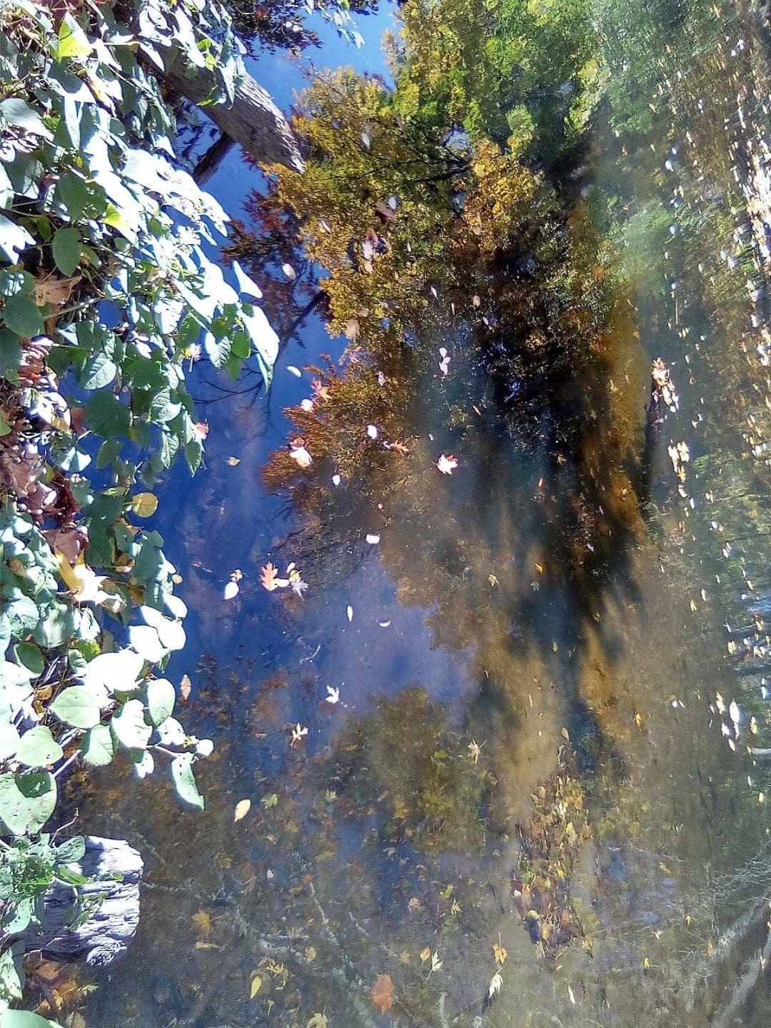 Burke Avenue Bridge photo 4